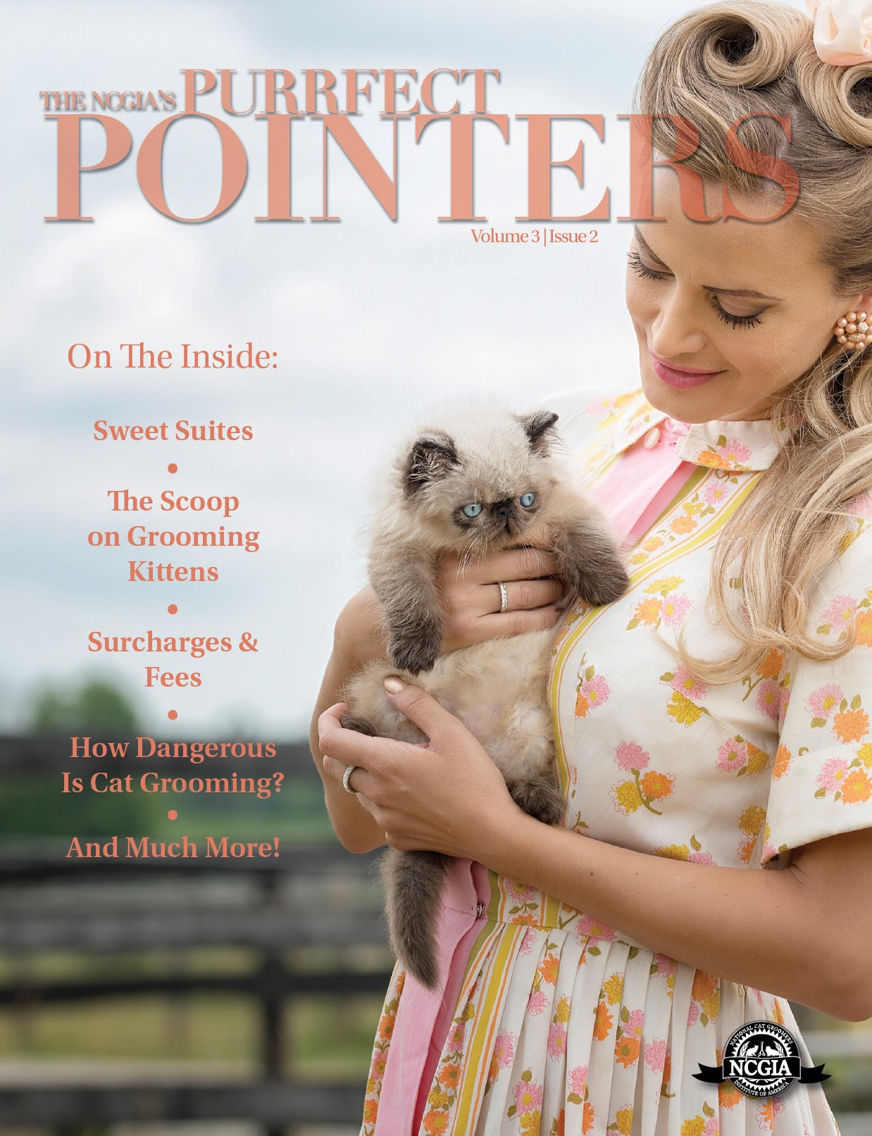 Purrfect Pointers Vol 3.2