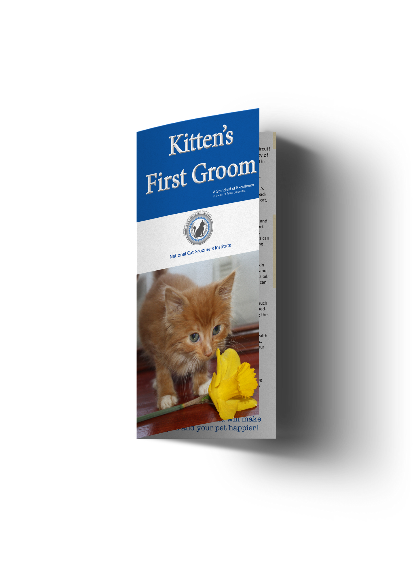 Folletos para clientes de Kitten