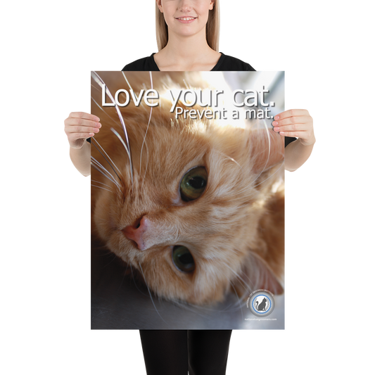 Salon Posters - Set of All 7