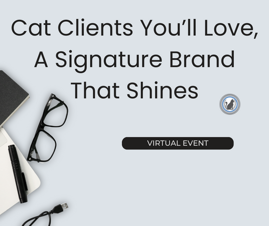 Cat Grooming Branding & Marketing Workshop