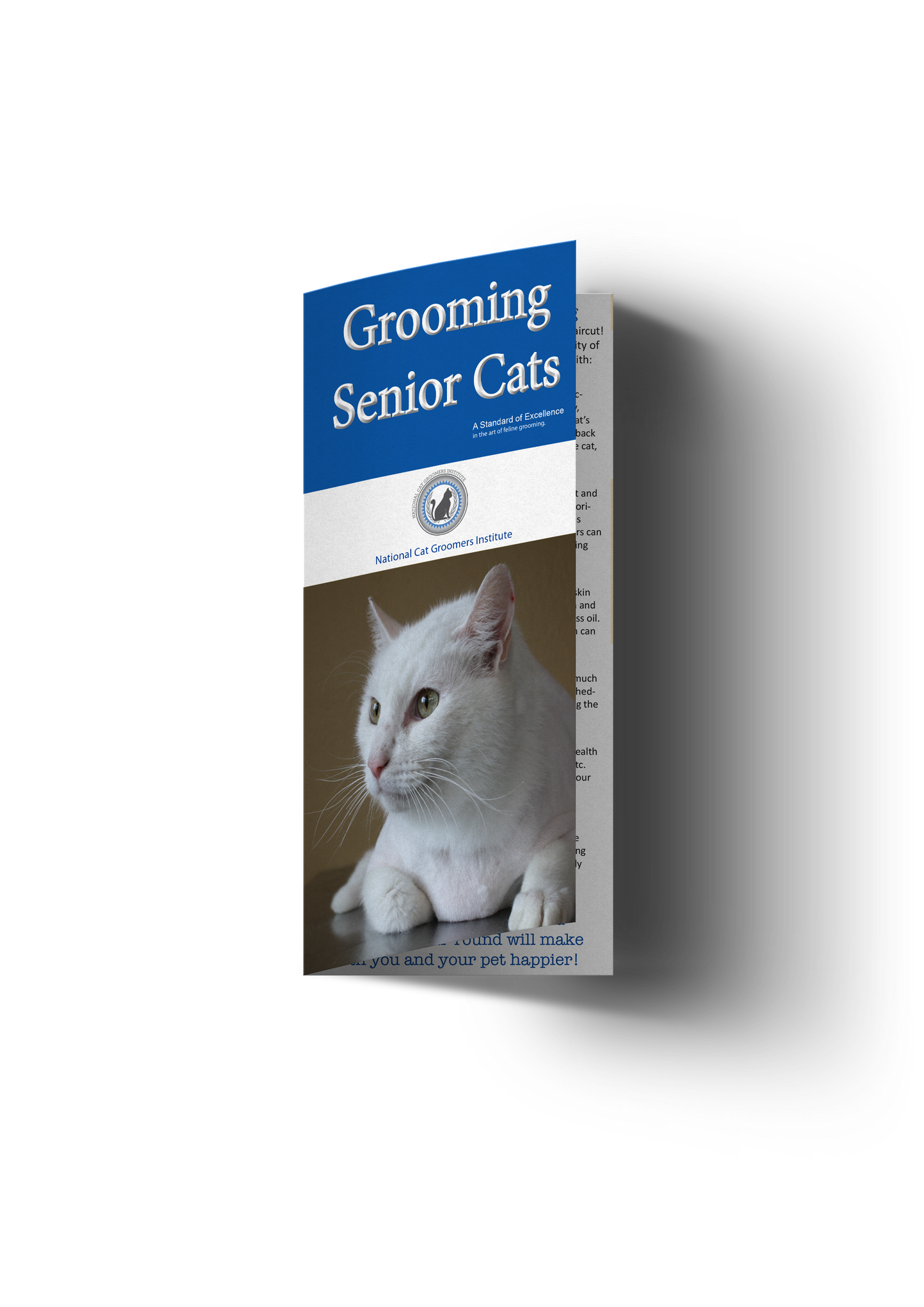 Brochures clients Senior Cat