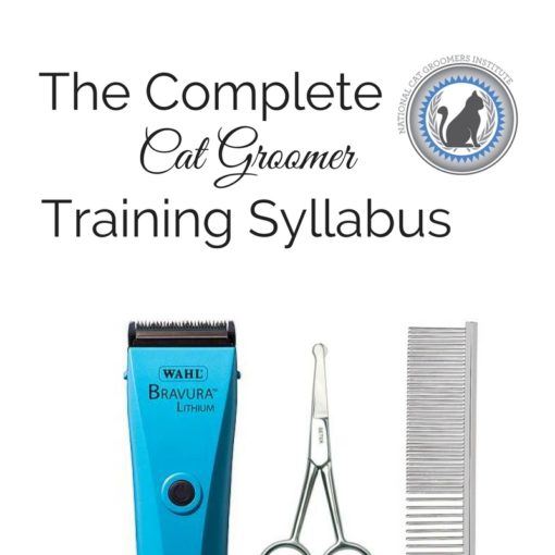 Complete Cat Groomer Training Syllabus