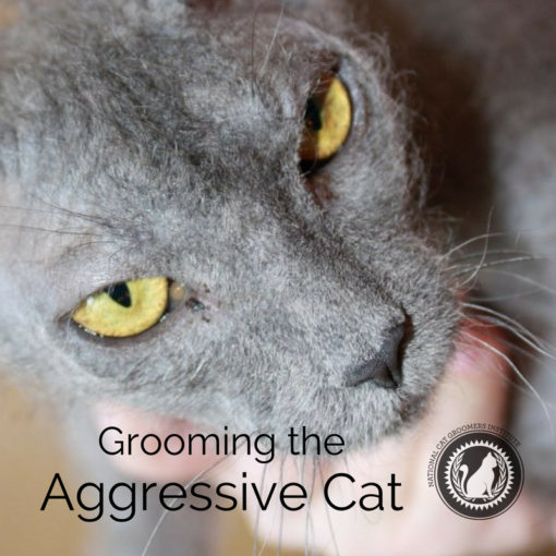 Grooming the Aggressive Cat online course