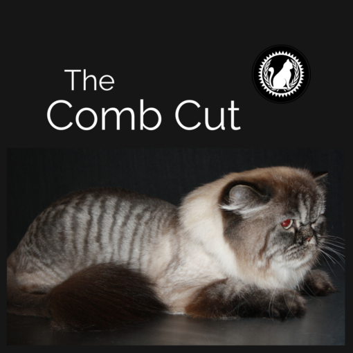 comb cut online course