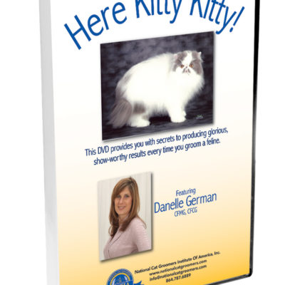 Here Kitty Kitty DVD
