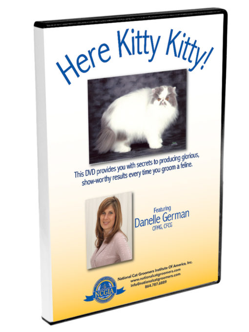 Here Kitty Kitty DVD