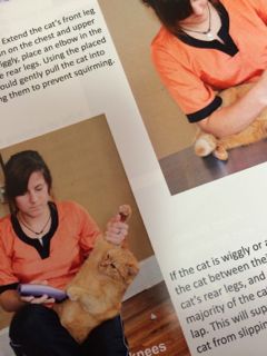 Cat Handling Techniques book excerpt 3