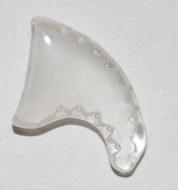 Softpaw nail cap clear