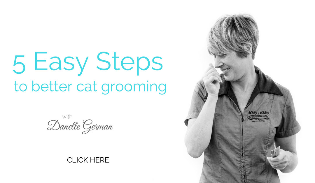 The Three Biggest Mistakes Groomers Make When Grooming Cats (and how not to make them!)