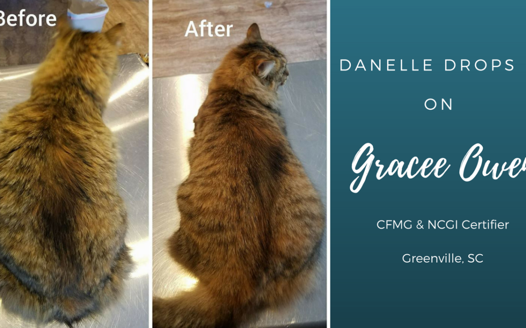 Danelle Visits with Gracee Owen, CFMG, Certifier in Greenville, SC