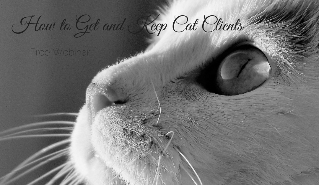 How to Get and Keep Cat Clients