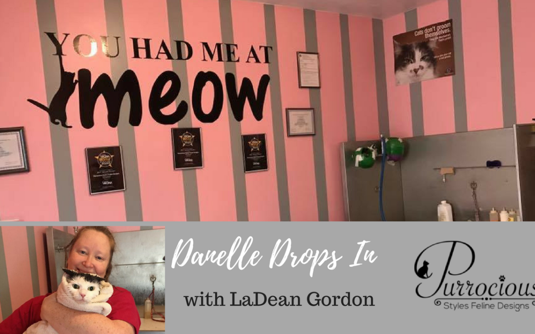 Danelle Drops In on LaDean Gordon of Purrocious Styles Feline Designs in Newport News, Virginia