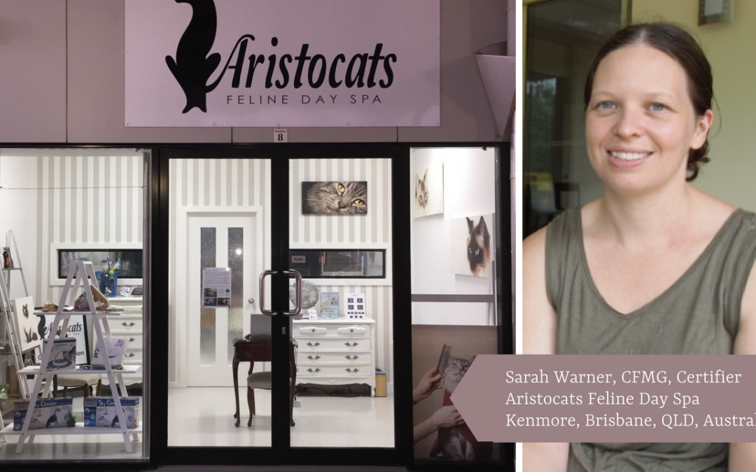 Danelle Drops In on  Sarah Warner of Aristocats Feline Day Spa in Kenmore, Brisbane, Queensland, Australia