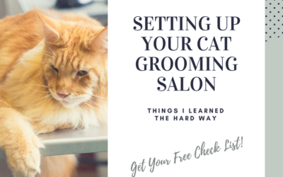Setting Up Your Salon: Things I Learned the Hard Way