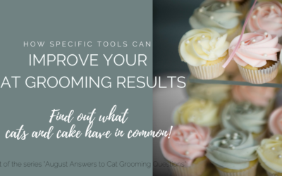 How Specific Tools Can Improve Your Cat Grooming Results
