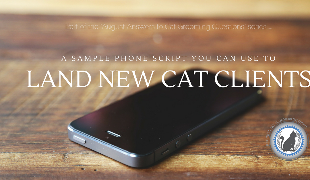 A Sample Phone Script You Can Use to Land New Cat Groom Clients
