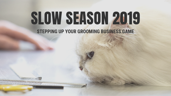 Stepping Up Your Game with the Slow Season Challenge