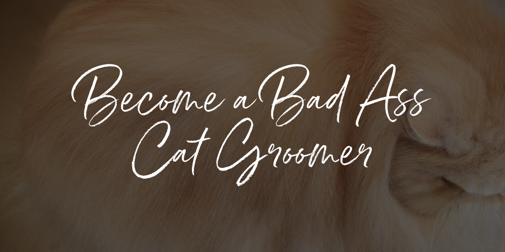 How to Become a Bad Ass Cat Groomer