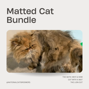 https://nationalcatgroomers.com/wp-content/uploads/2023/11/Matted-Cat-Bundle.png